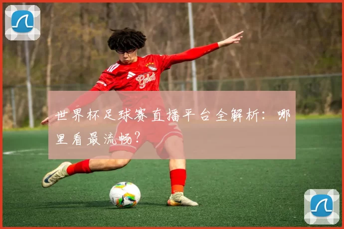 世界杯足球赛直播平台全解析:哪里看最流畅?