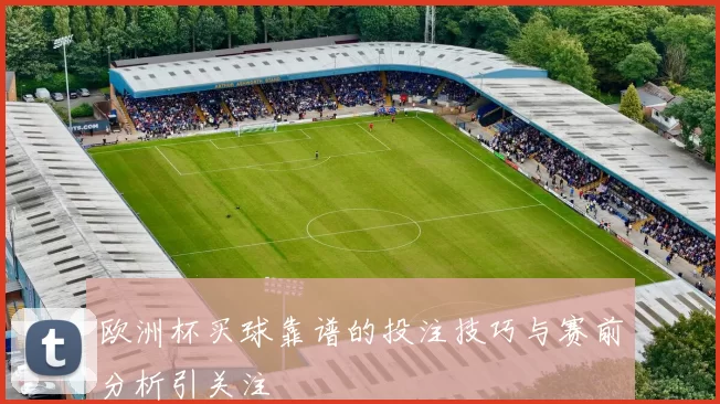欧洲杯买球靠谱的投注技巧与赛前分析引关注