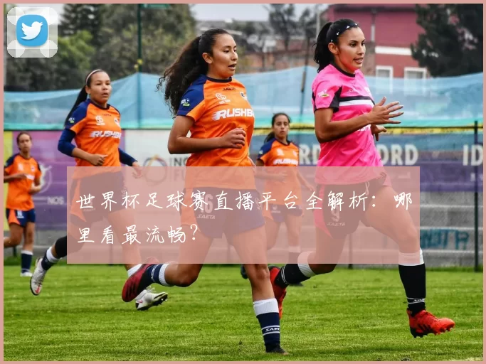 世界杯足球赛直播平台全解析：哪里看最流畅？