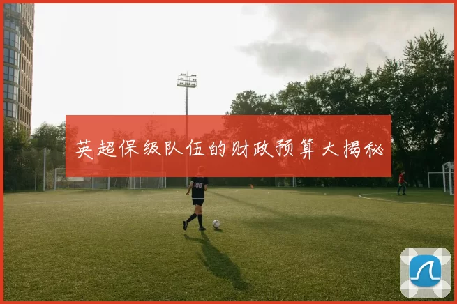 英超保级队伍的财政预算大揭秘