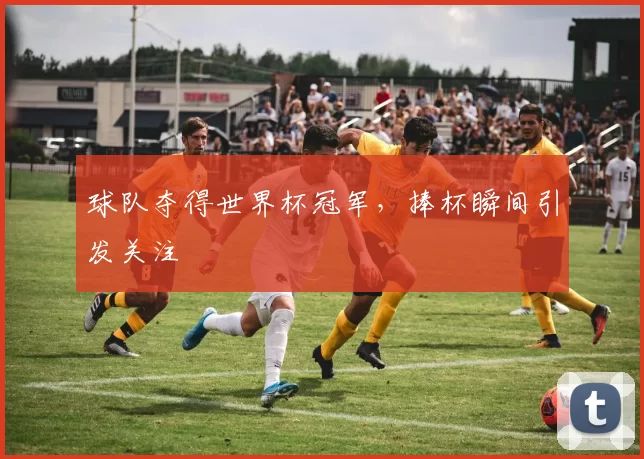 球队夺得世界杯冠军，捧杯瞬间引发关注