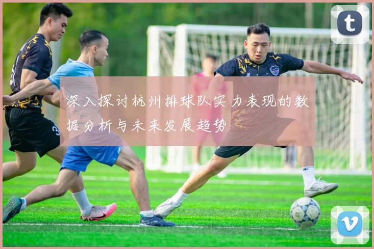 深入探讨杭州排球队实力表现的数据分析与未来发展趋势