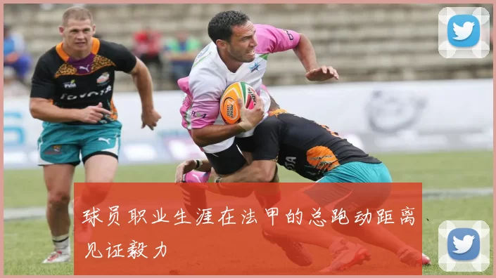 球员职业生涯在法甲的总跑动距离见证毅力