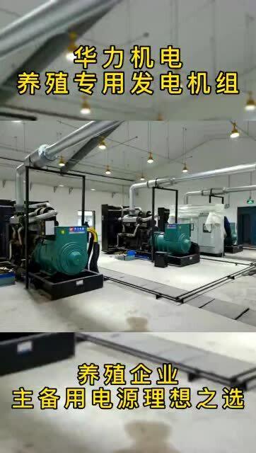 华力畜牧养殖专用发电机组 稳定供电与节能环保，护航养殖企业温暖过冬